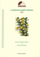 Logo Cadernos Ramón Piñeiro (XII)