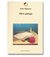 Logo Obra galega